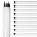 24 Inch T8 Fluorescent Tube Light Bulb 17W 4100K Cool White 2800 Lumen G13 Bi-Pin Base Pack of 10 U7628
