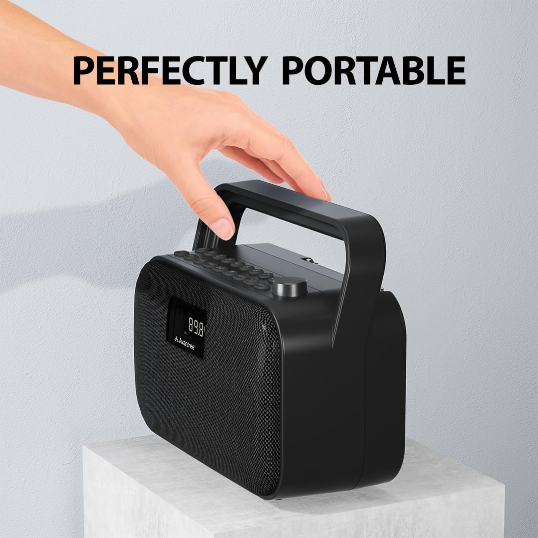 Portable FM Radio with 30W Stereo Bluetooth Speaker G262