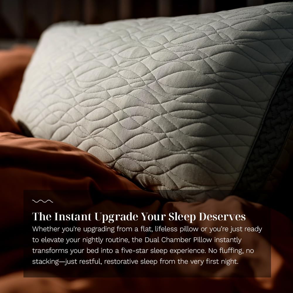 King Dual Chamber Pillow 2-Pack E399