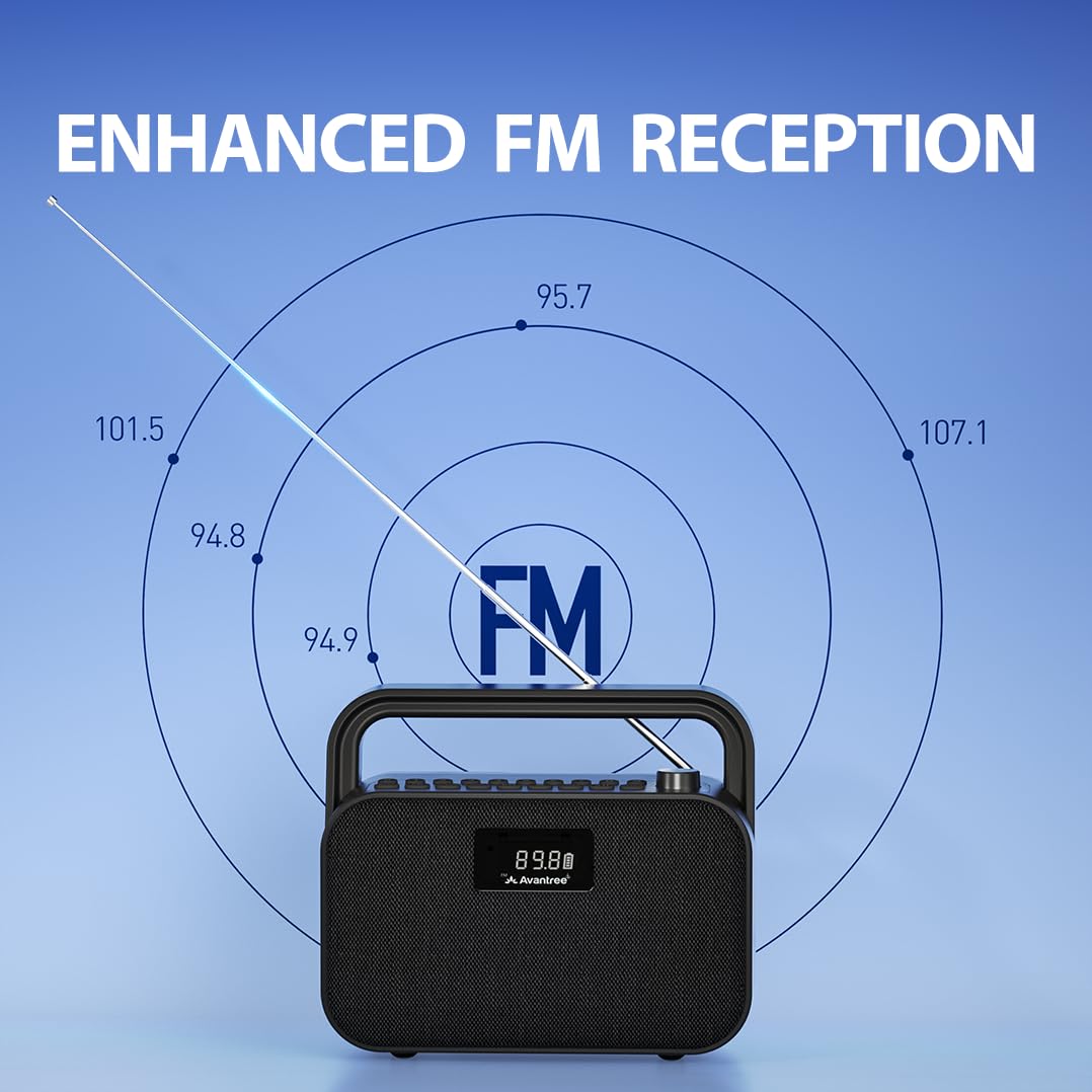 Portable FM Radio with 30W Stereo Bluetooth Speaker G262