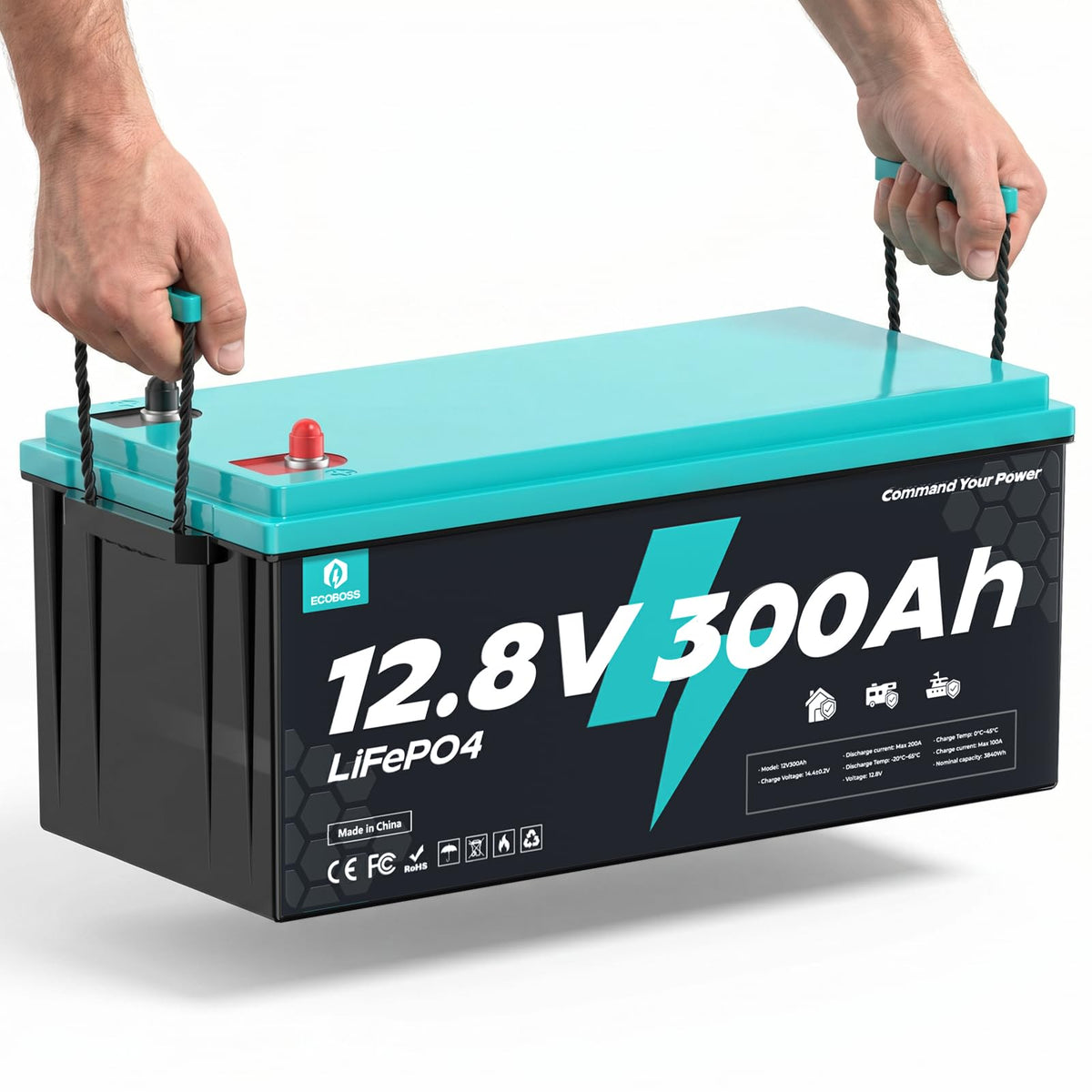 12V 300Ah LiFePO4 Deep Cycle Lithium Battery L5594