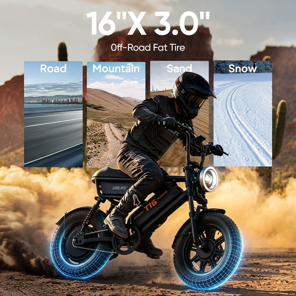 1000W Peak Electric Bike with 48V 13AH Battery, 16" Fat Tire I4348