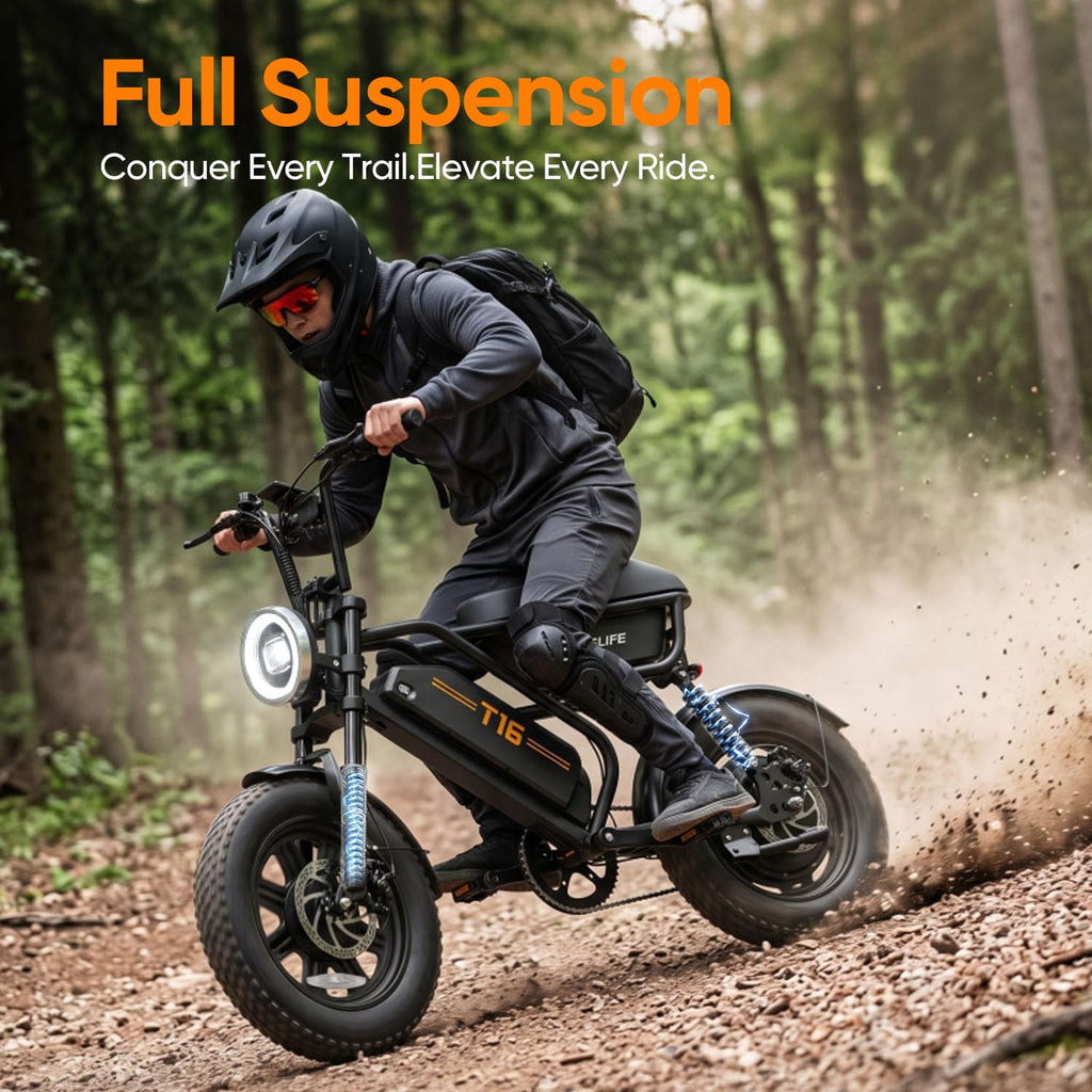 1000W Peak Electric Bike with 48V 13AH Battery, 16" Fat Tire I4348