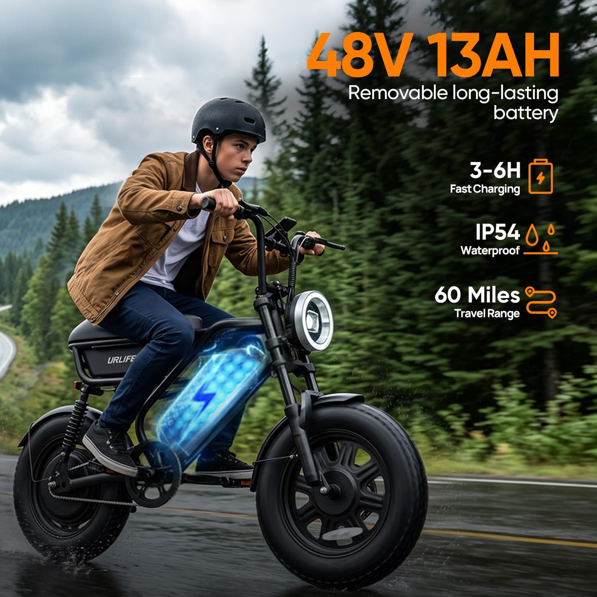 1000W Peak Electric Bike with 48V 13AH Battery, 16" Fat Tire I4348