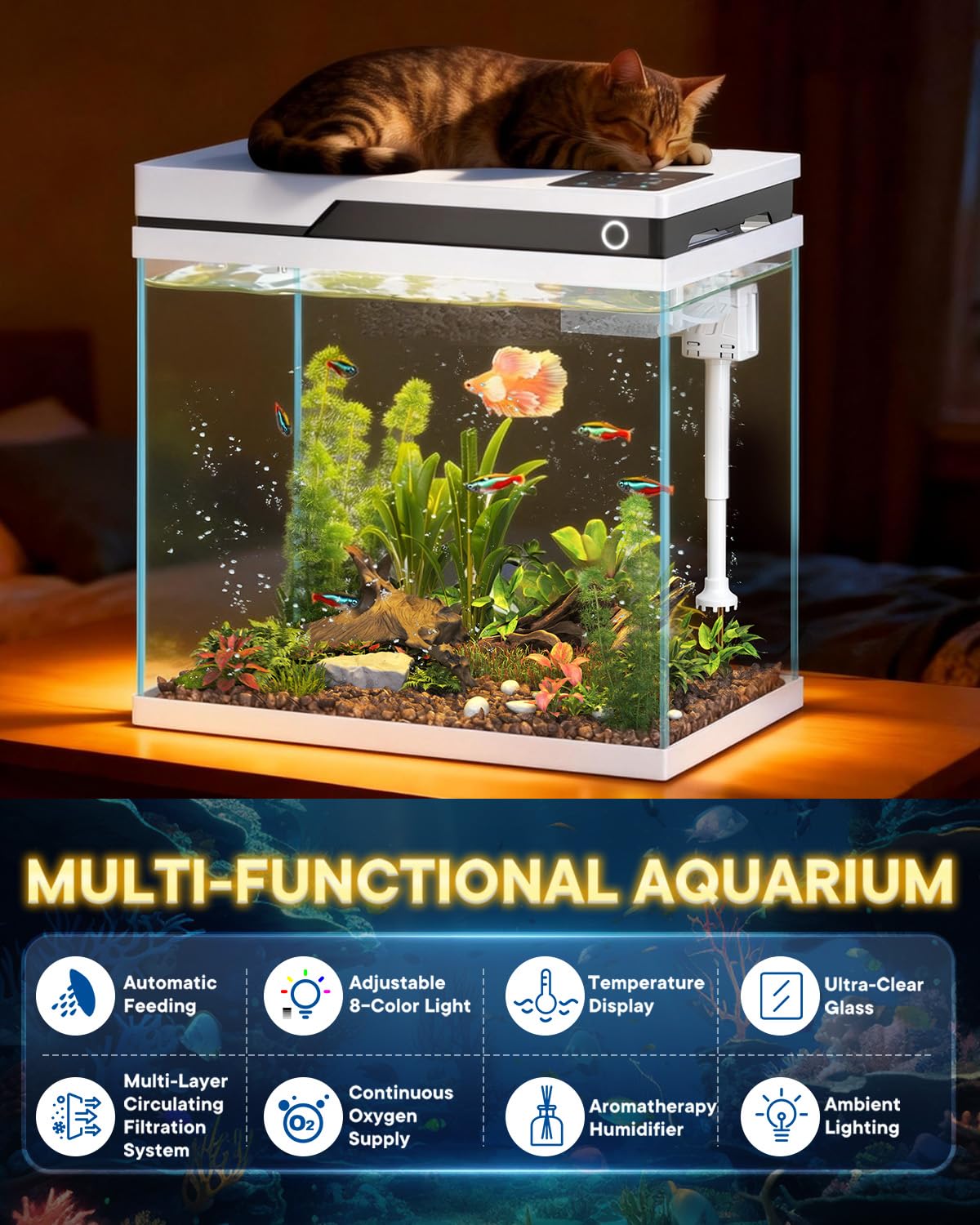 7 Gallon Fish Tank X410779