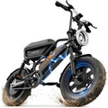 1000W Peak Electric Bike with 48V 13AH Battery, 16" Fat Tire I4348