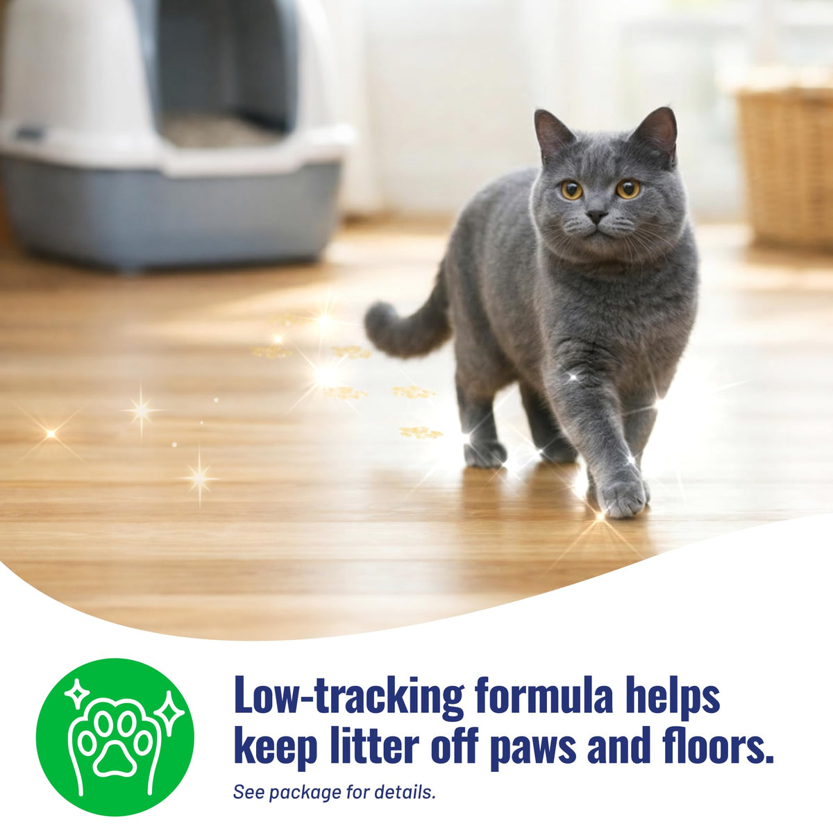 Unscented Clumping Litter 15lb F81691