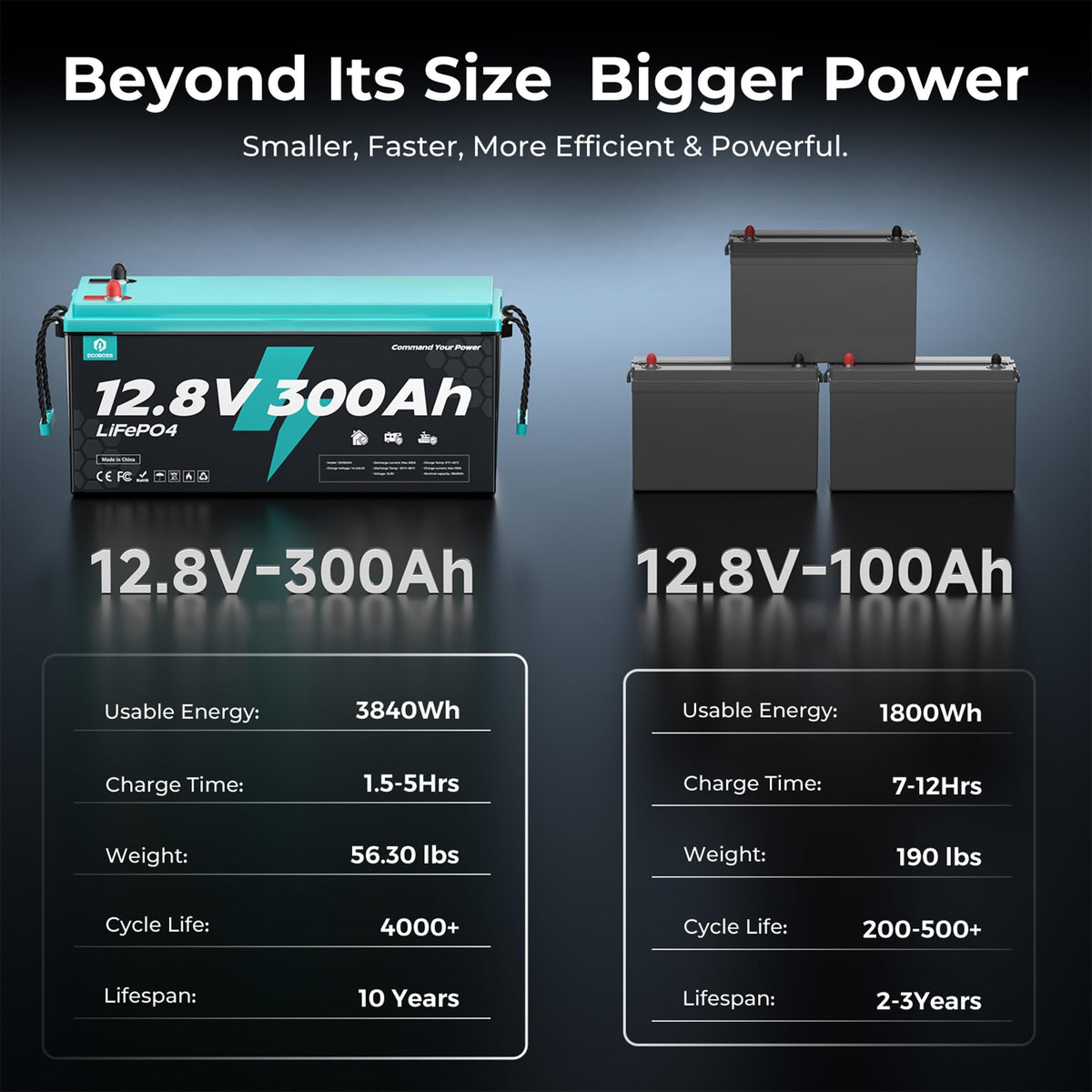 12V 300Ah LiFePO4 Deep Cycle Lithium Battery L5594