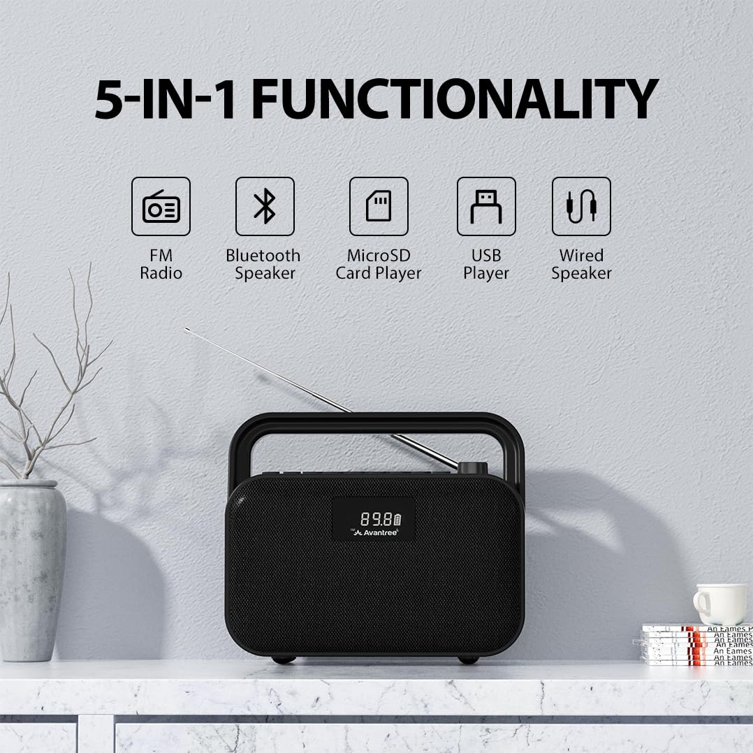 Portable FM Radio with 30W Stereo Bluetooth Speaker G262