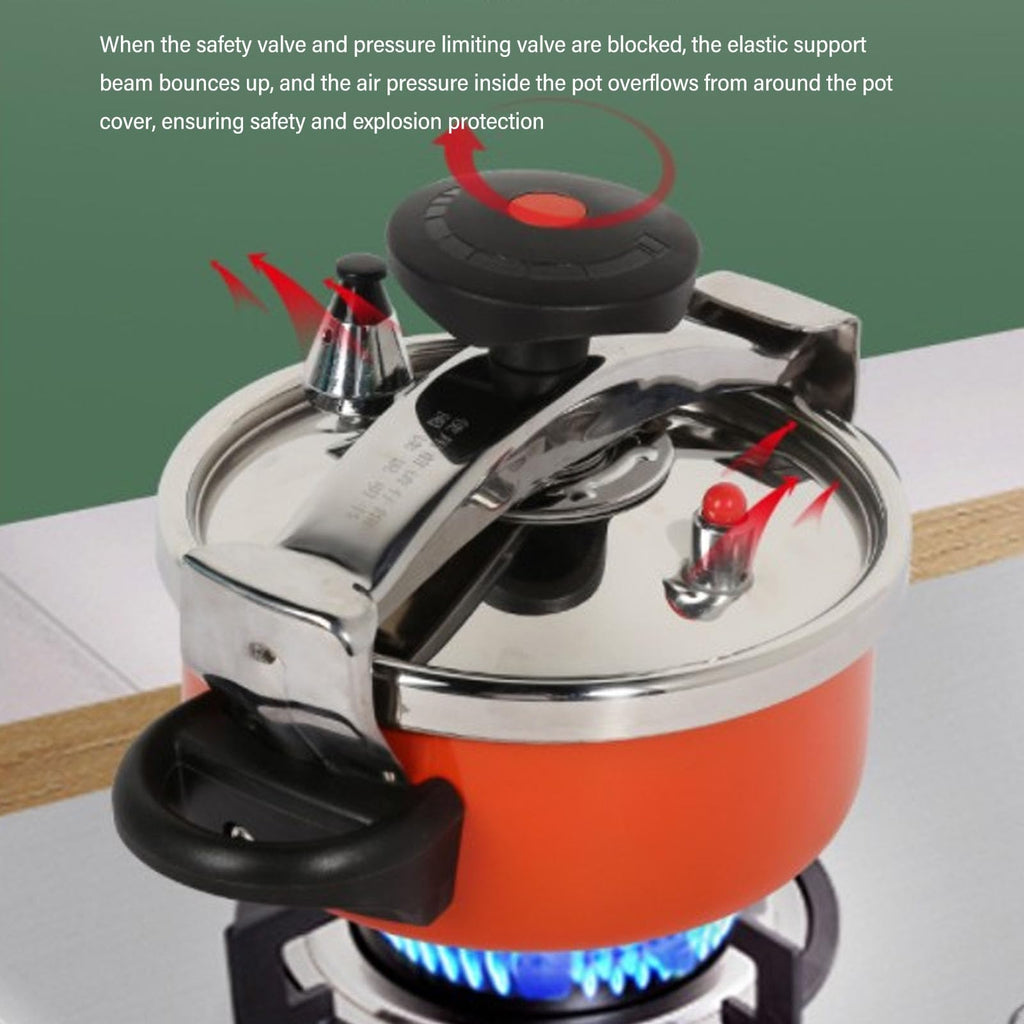 Stainless Steel Pressure Cooker Canner L44652
