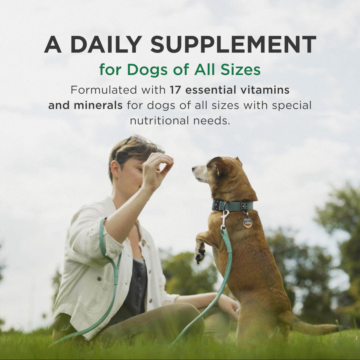 Multivitamin Supplement for Dogs 60 Chewables K74958