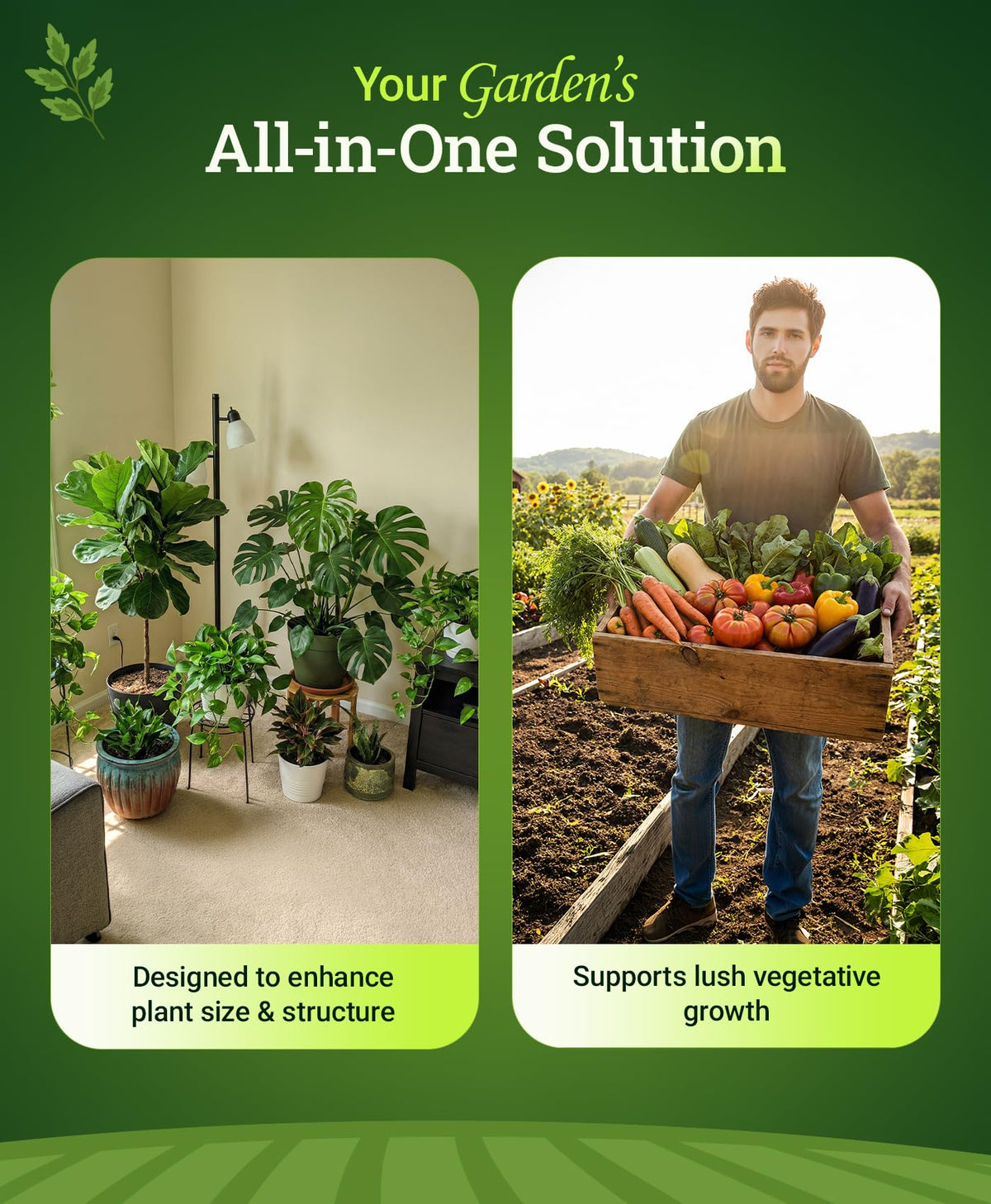 Liquid Plant Food 6-4-4 Fertilizer Concentrate R697361