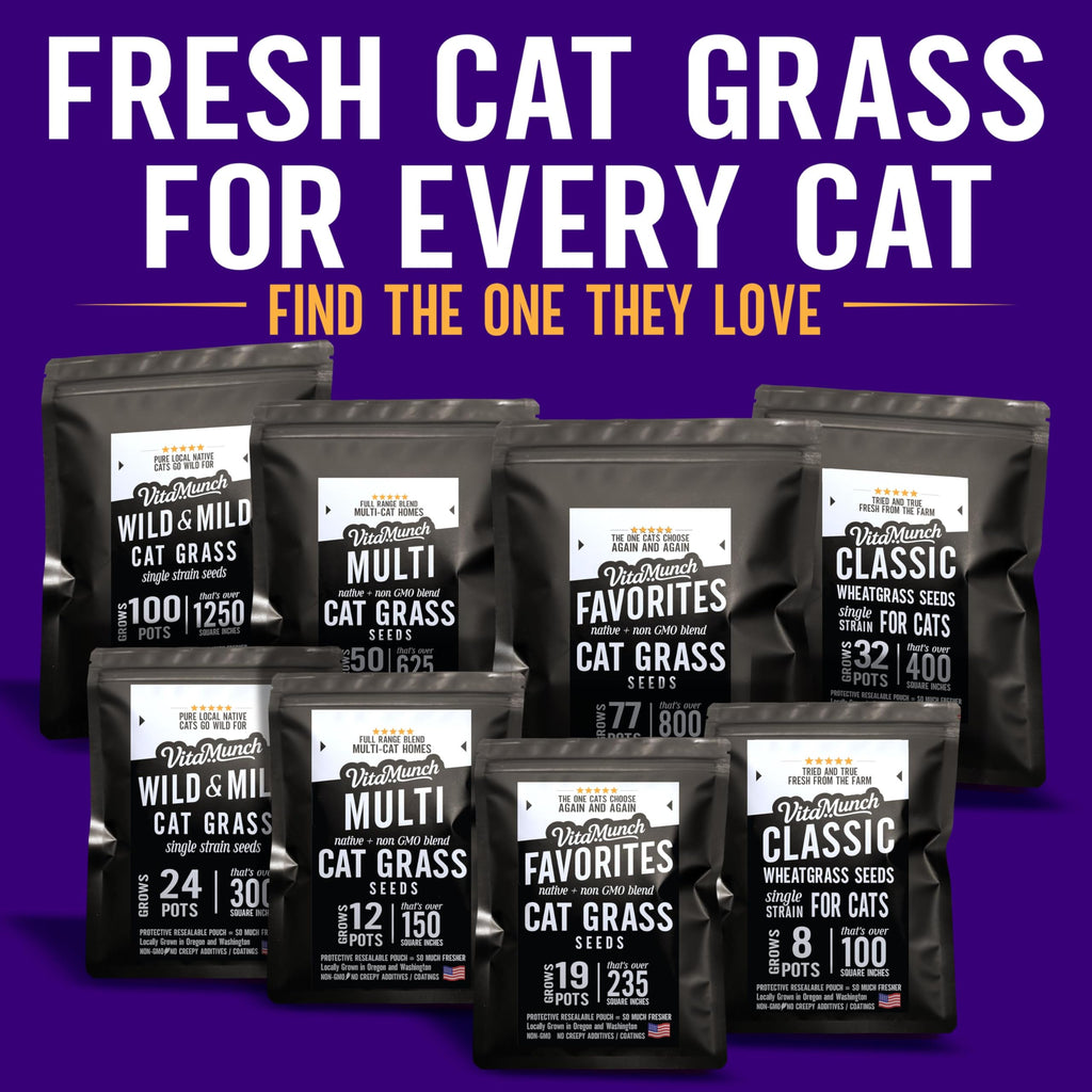 Cat Grass Seed 24 Pots 6 Days Non-GMO U288660