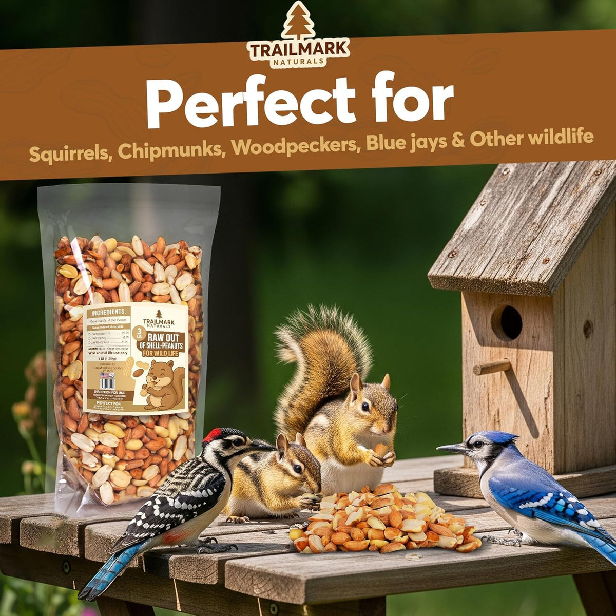Raw Shelled Peanuts E5350