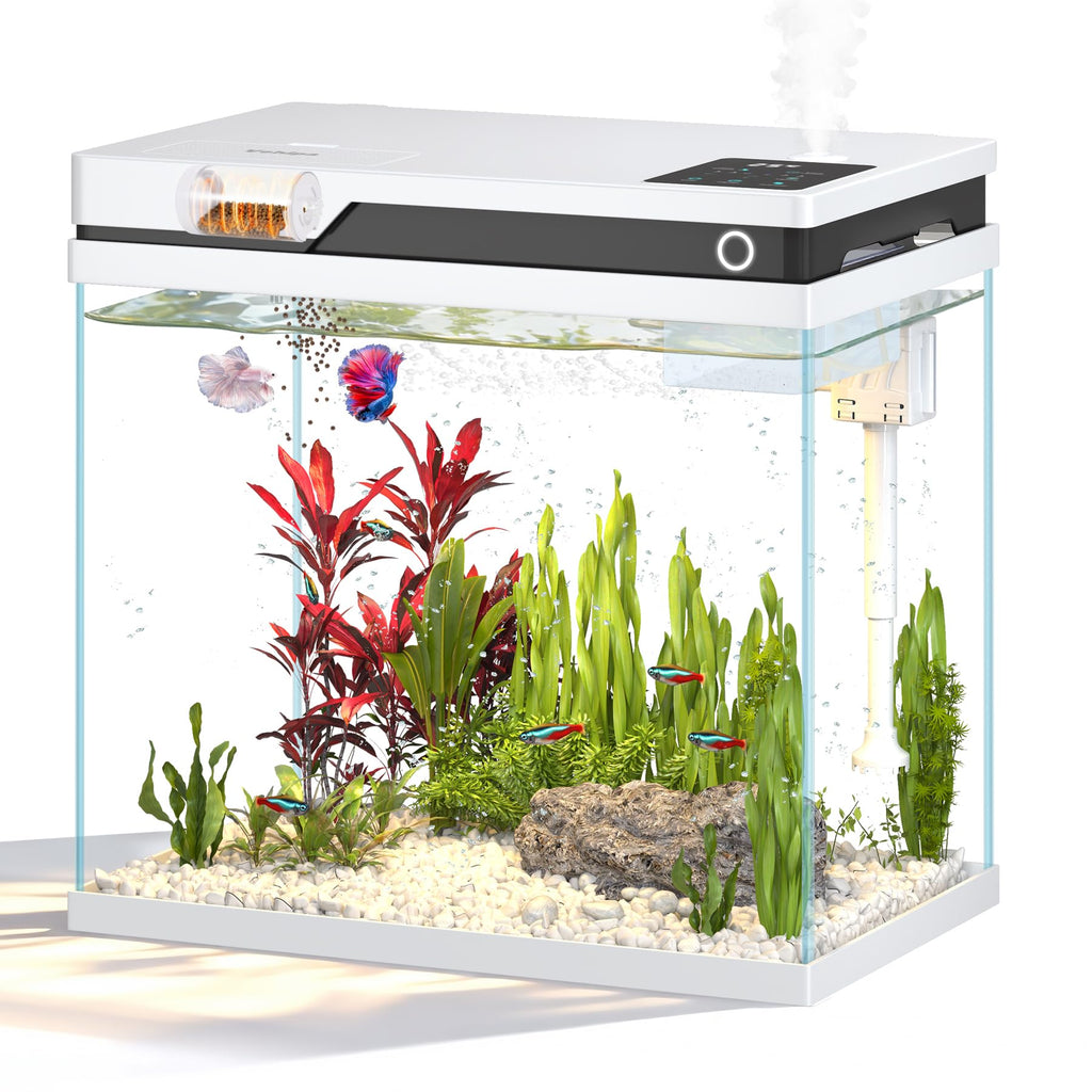 7 Gallon Fish Tank X410779