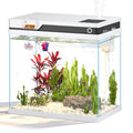 7 Gallon Fish Tank X410779