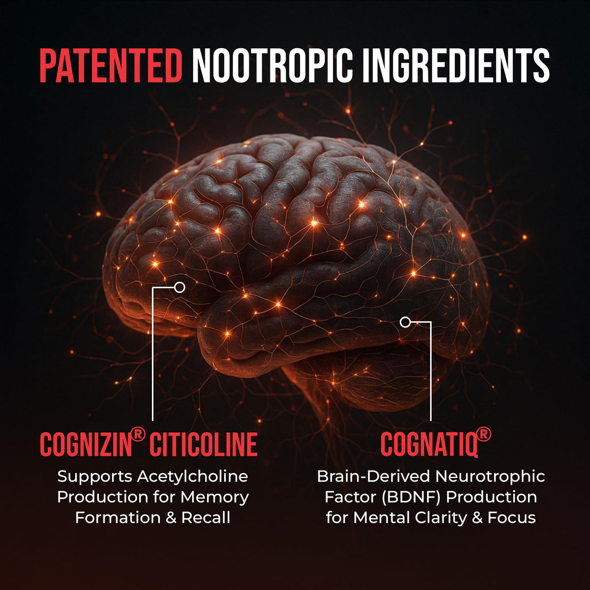 90 Capsules Nootropic Brain Supplement Q56013