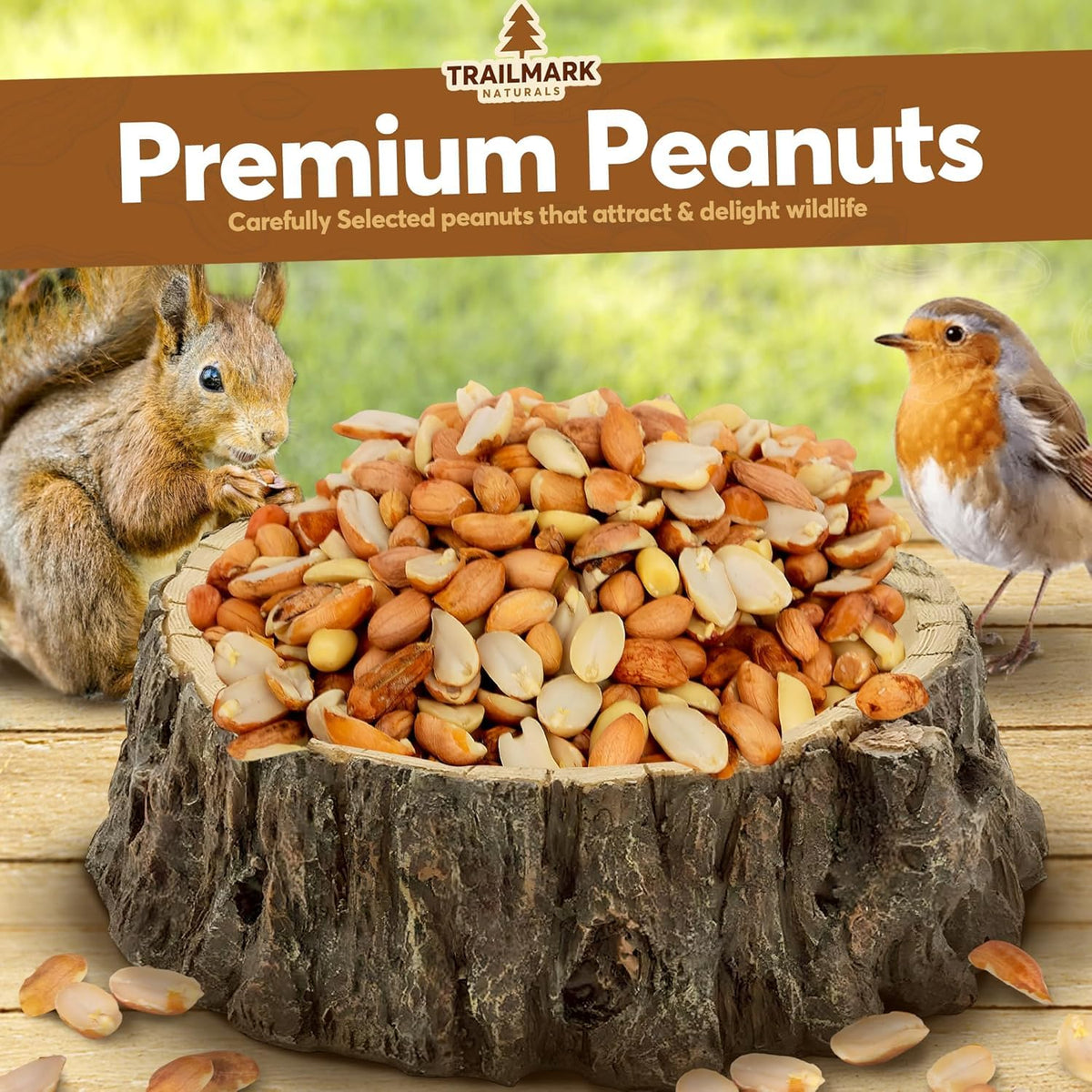 Raw Shelled Peanuts E5350