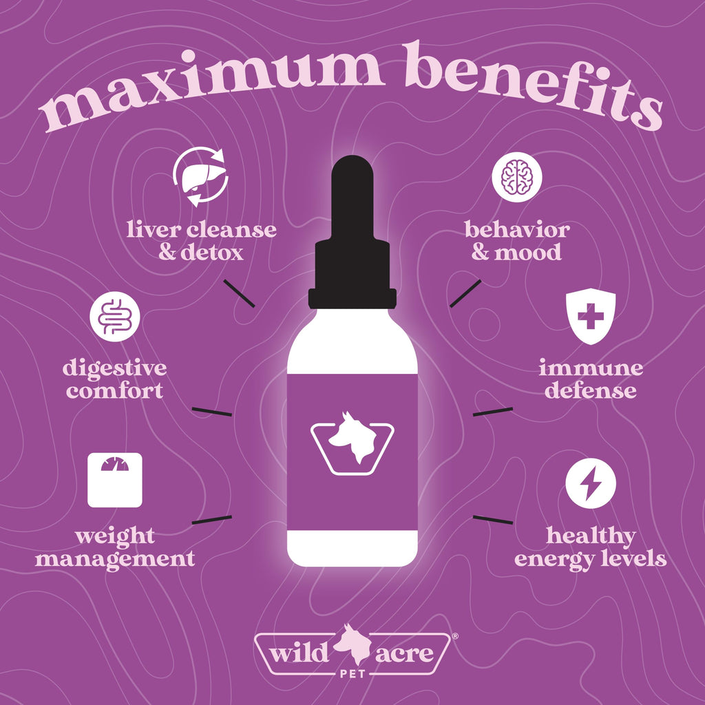 Milk Thistle for Dogs Liver Support 2 oz V404650