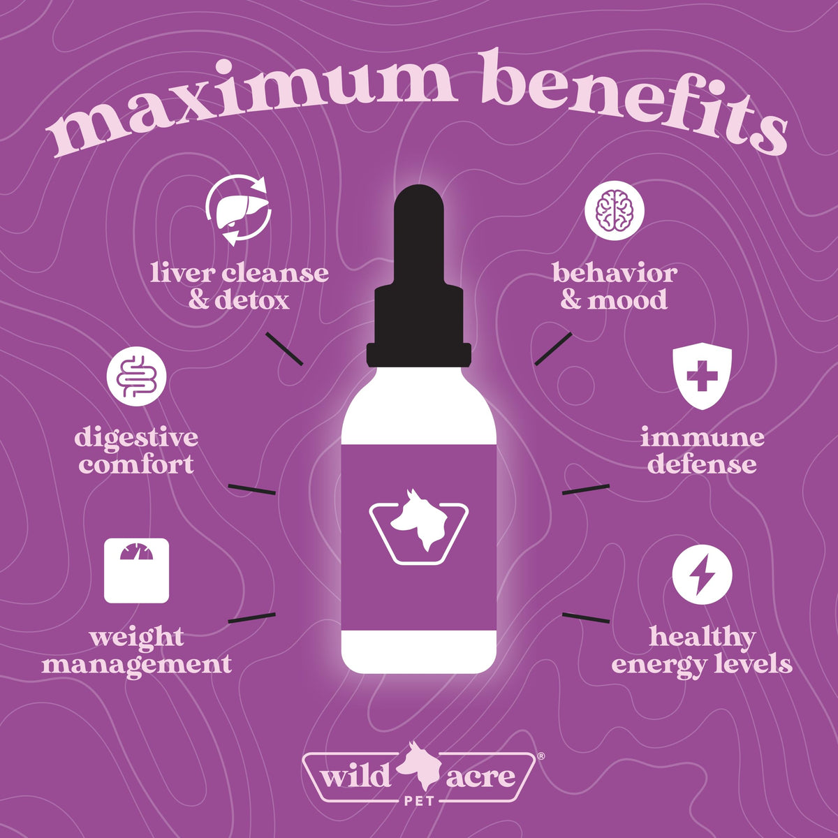 Milk Thistle for Dogs Liver Support 2 oz V404650
