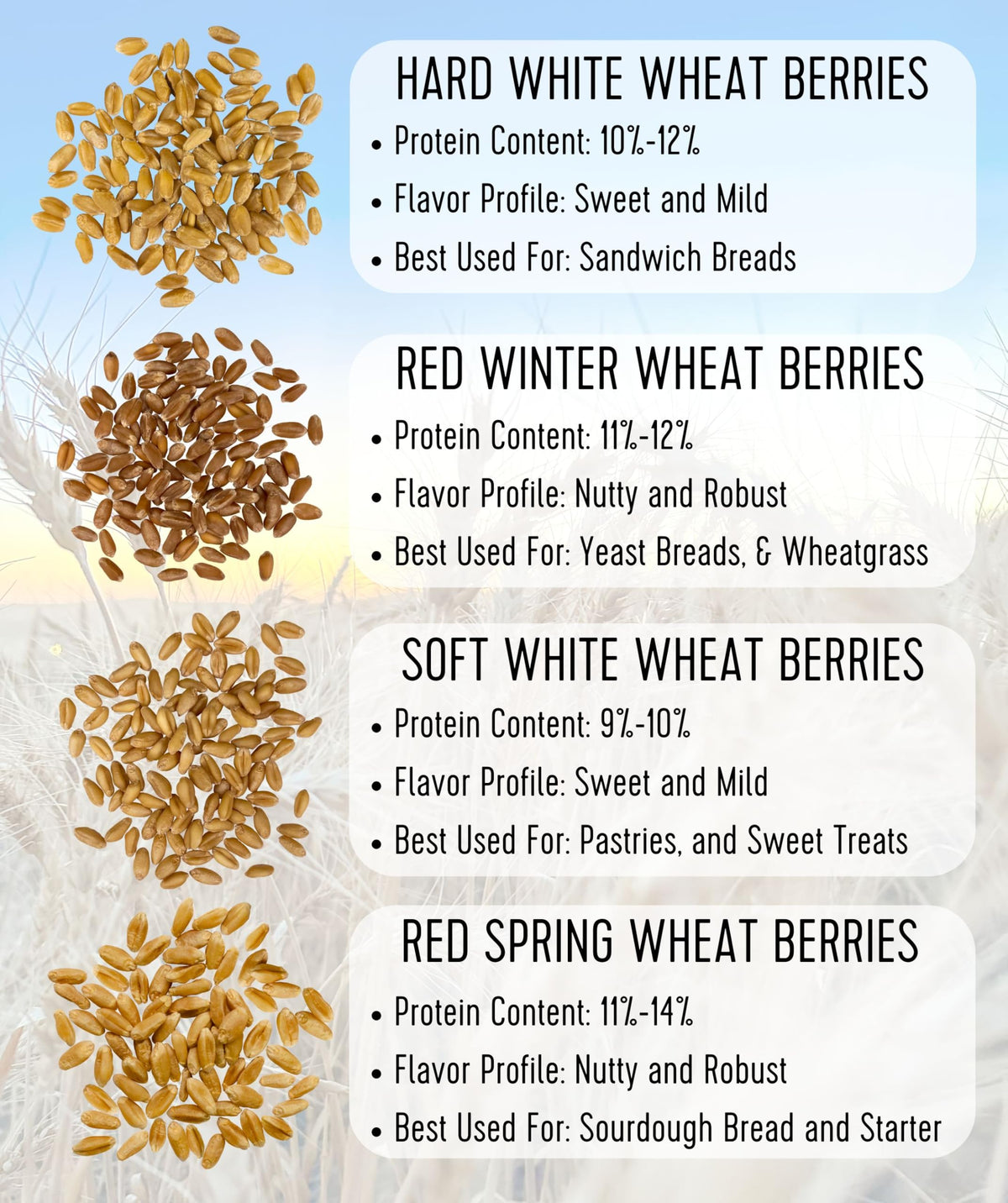 Hard Red Winter Wheat Berries 25 LBS Bag Sproutable Non-GMO Kosher X478239