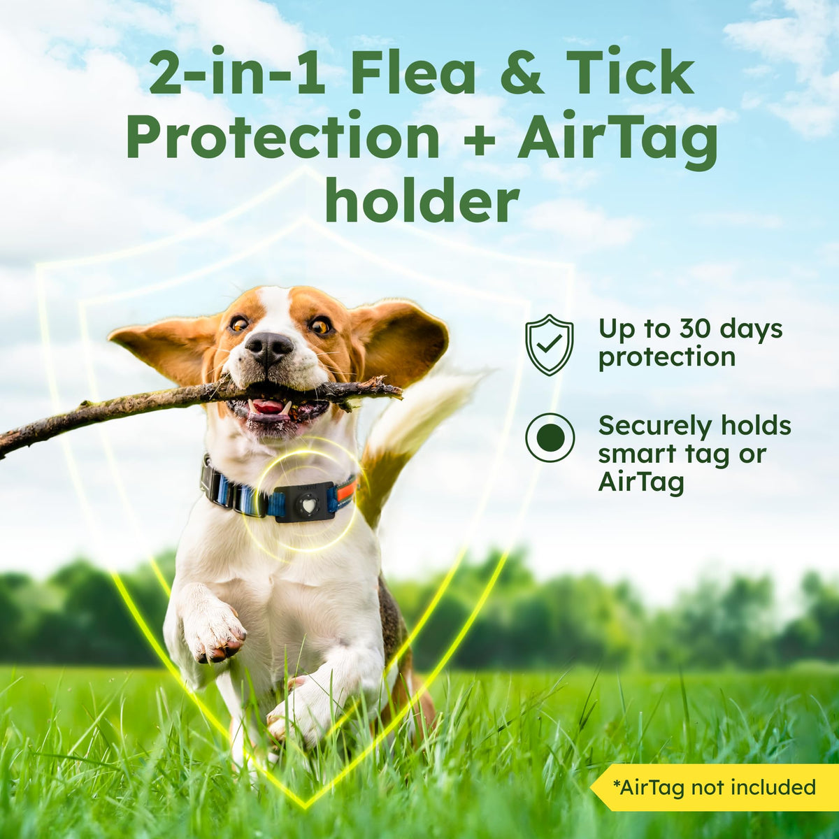 Flea and Tick Prevention Pendant for Dogs U422206