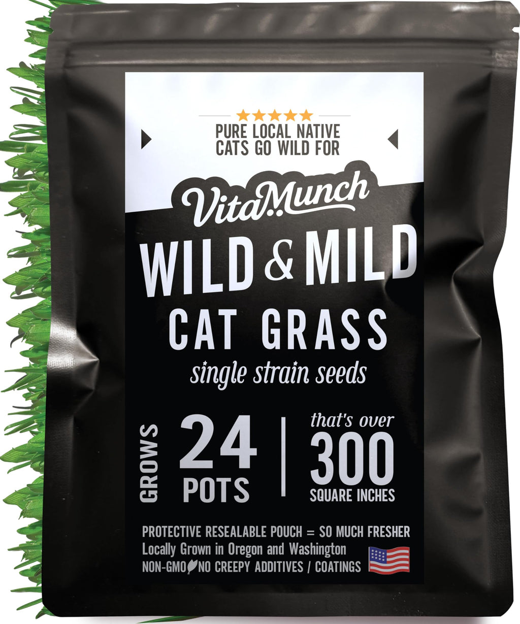 Cat Grass Seed 24 Pots 6 Days Non-GMO U288660