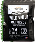 Cat Grass Seed 24 Pots 6 Days Non-GMO U288660