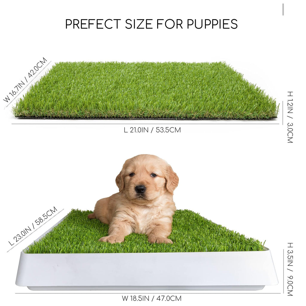Dog Grass Pad with Tray R45638