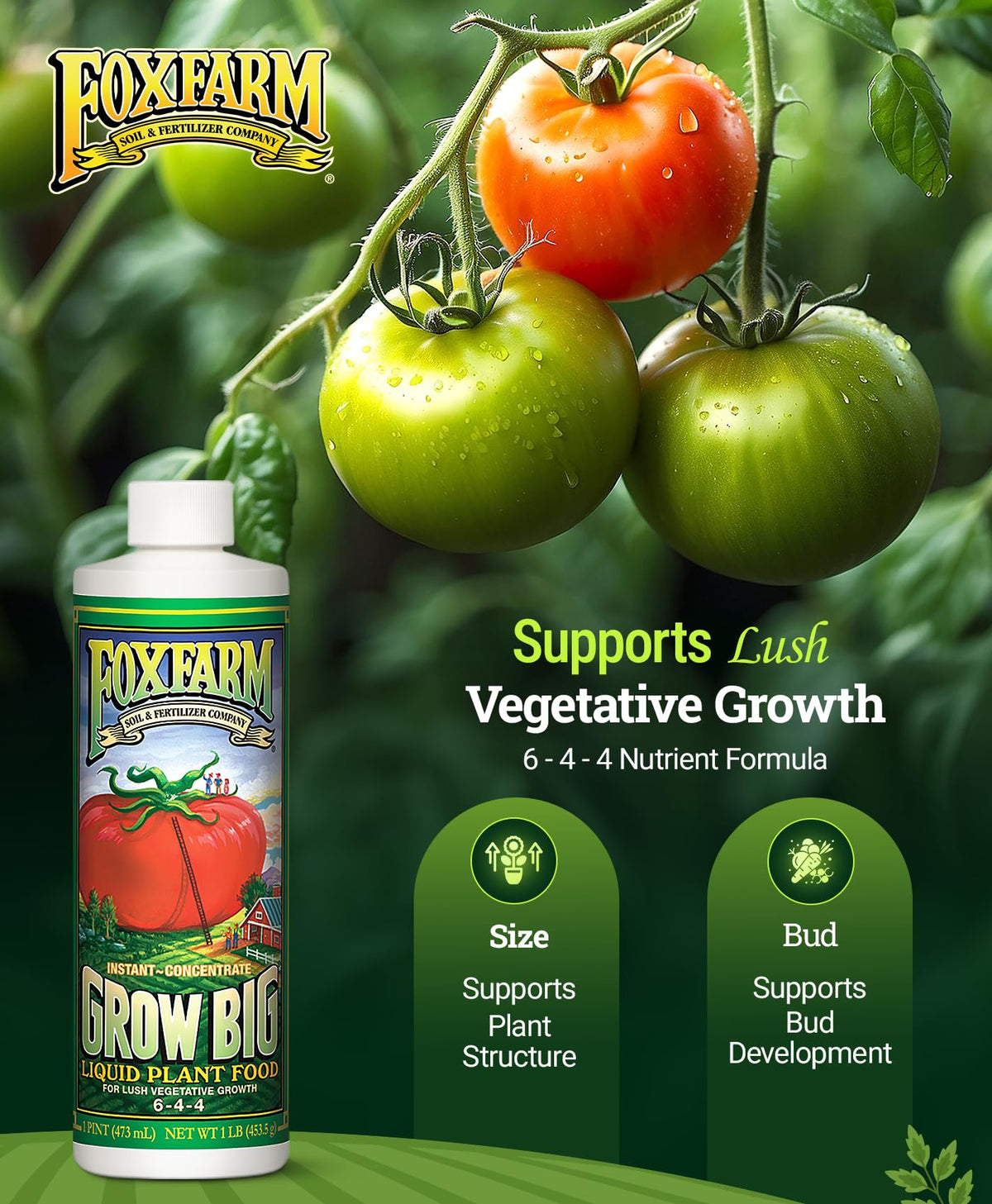 Liquid Plant Food 6-4-4 Fertilizer Concentrate R697361