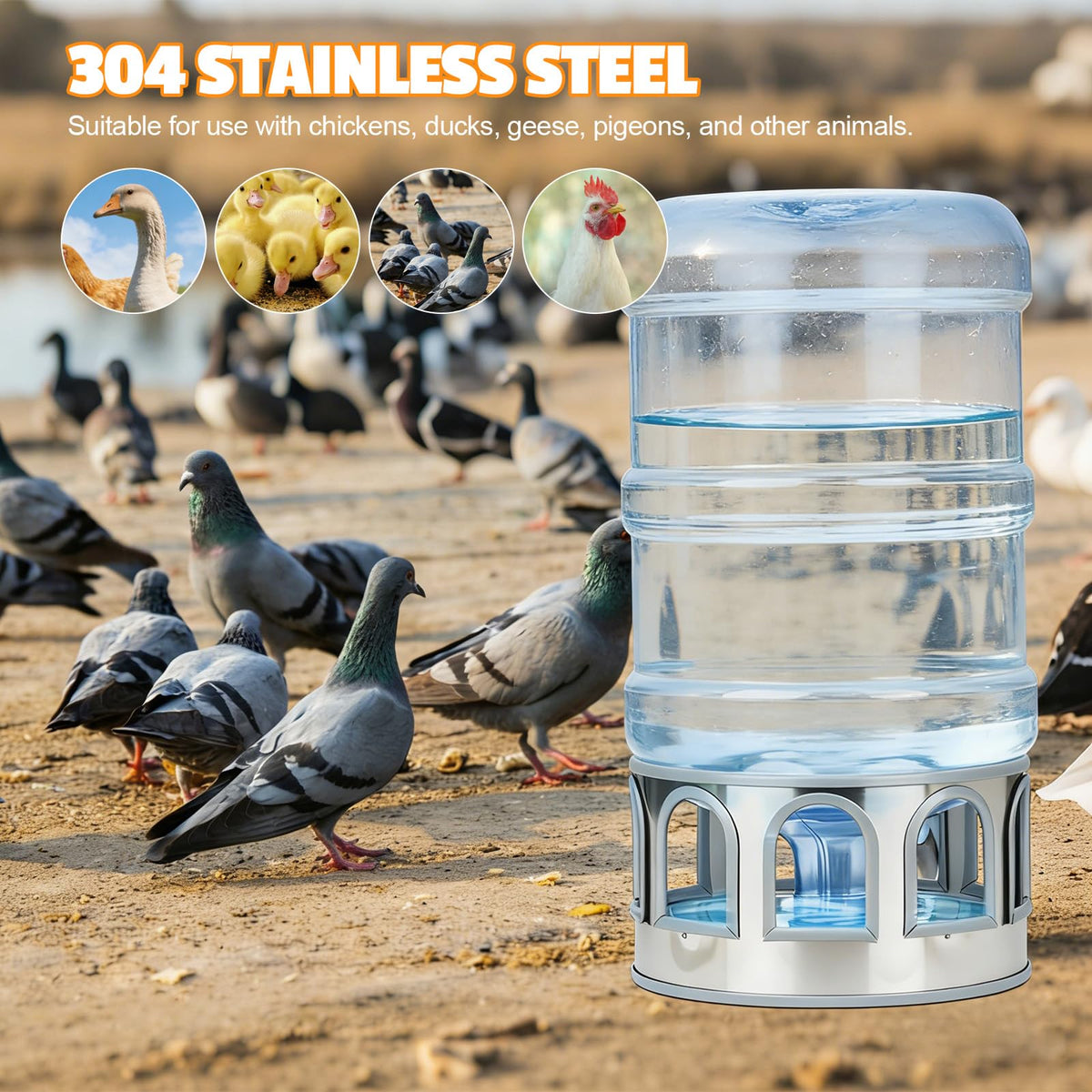 5 Gallon Stainless Steel Poultry Waterer Base with 9 Guarded Drinking Ports K2046