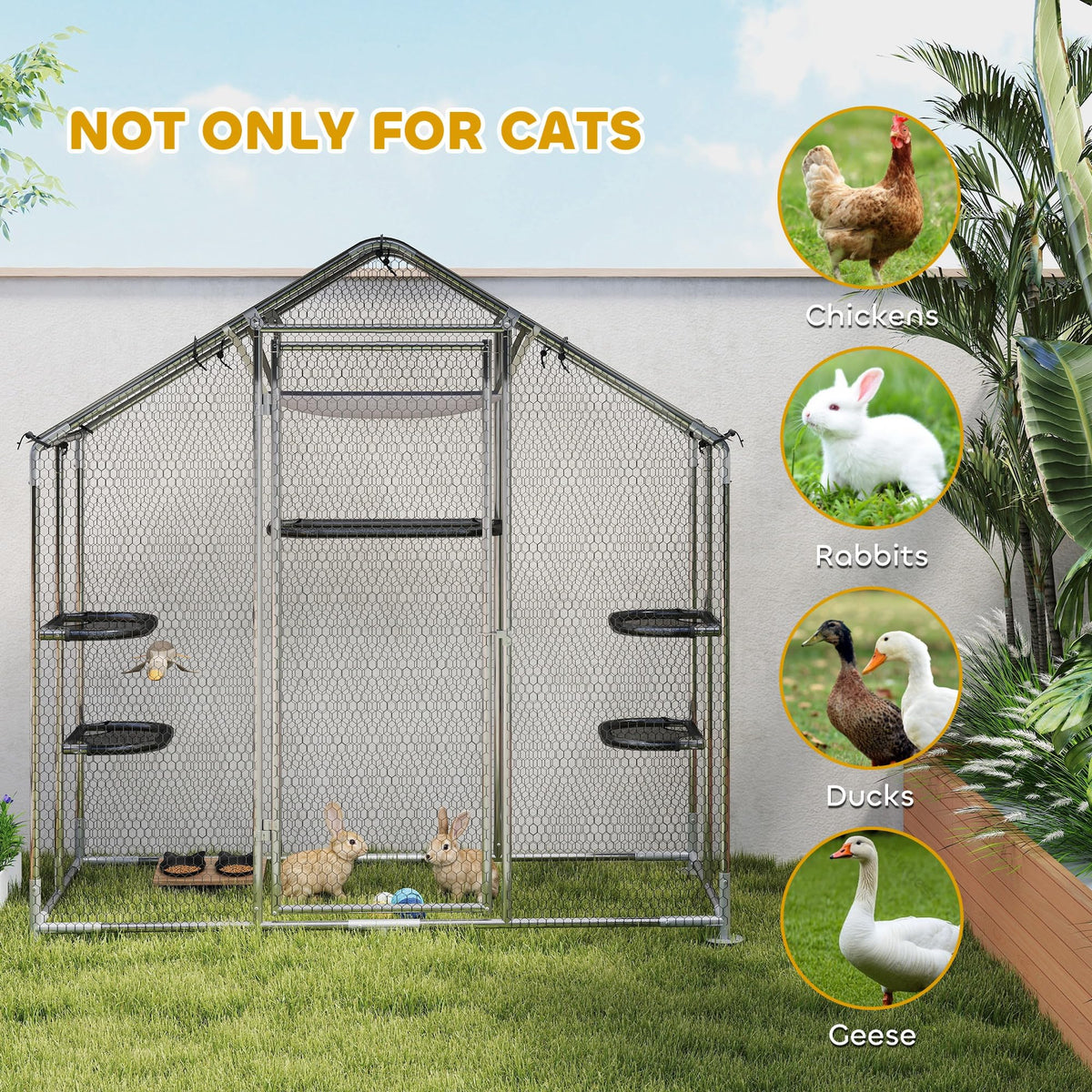 Large Outdoor Cat Enclosure P994
