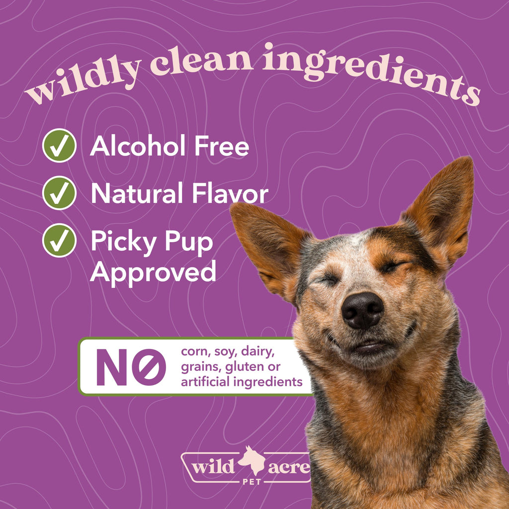 Milk Thistle for Dogs Liver Support 2 oz V404650