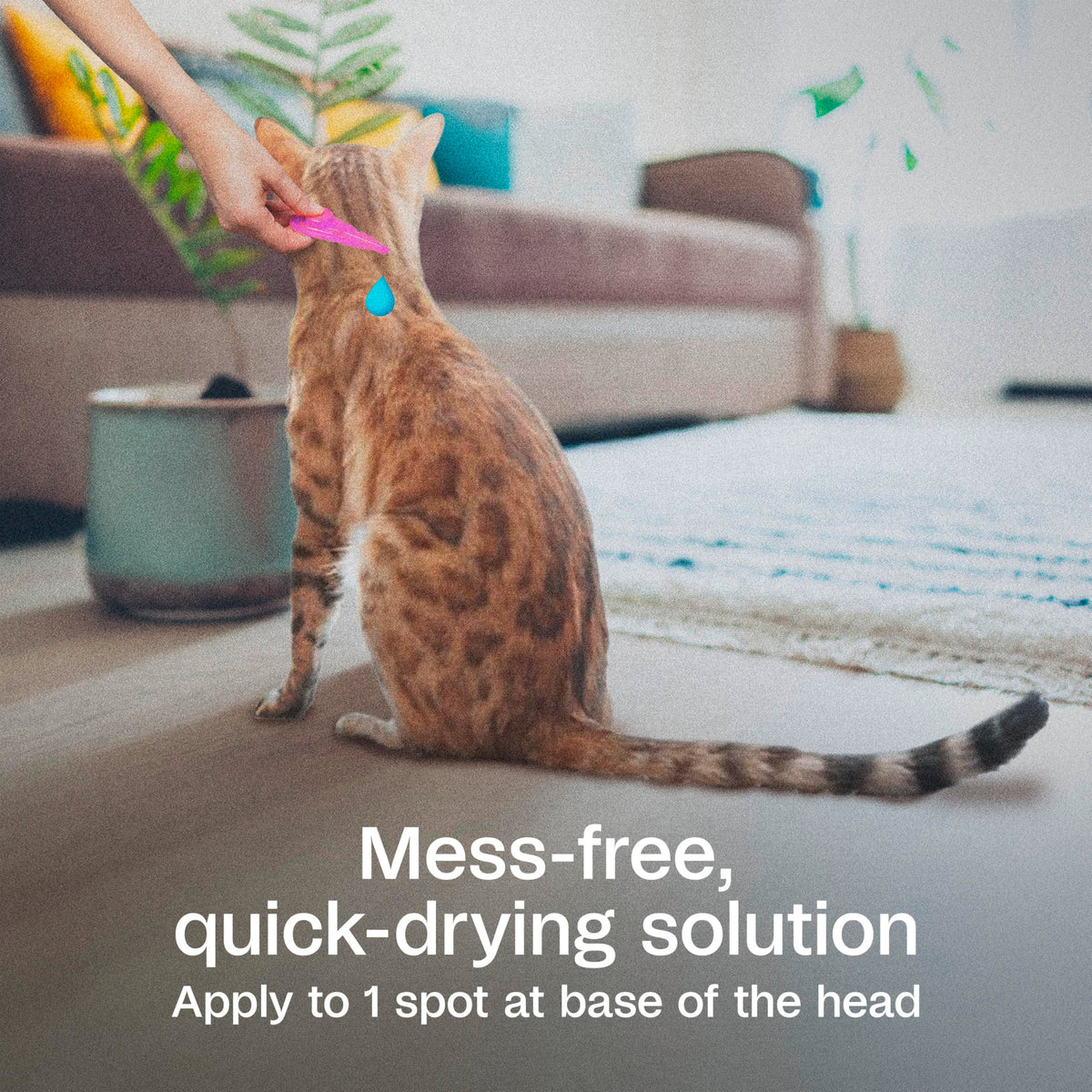 Flea and Tick Prevention Spot On for Cats 3 Pack O810130
